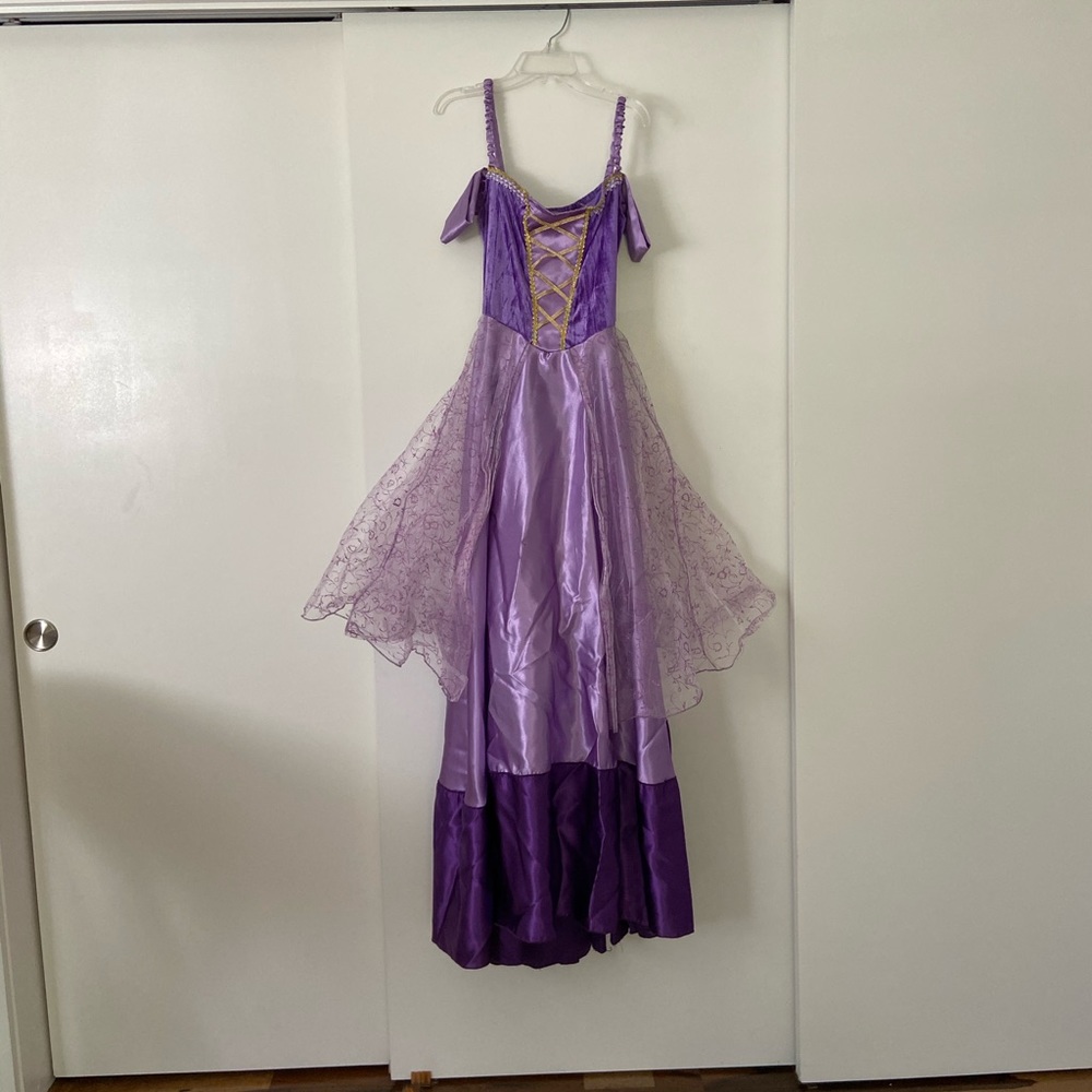 Rapunzel Costume with WIG included